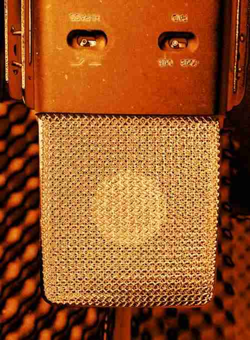voiceover mic