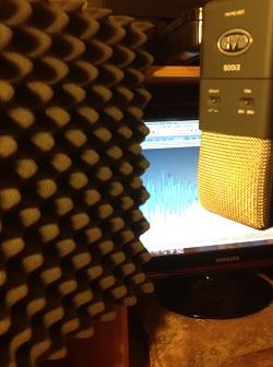 microphone for recording